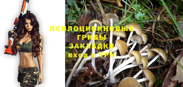 PSILOCYBIN Богородицк