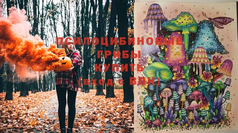 Псилоцибиновые грибы Magic Shrooms  Артёмовский 